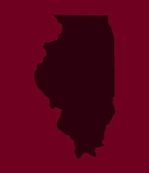 Illinois icon